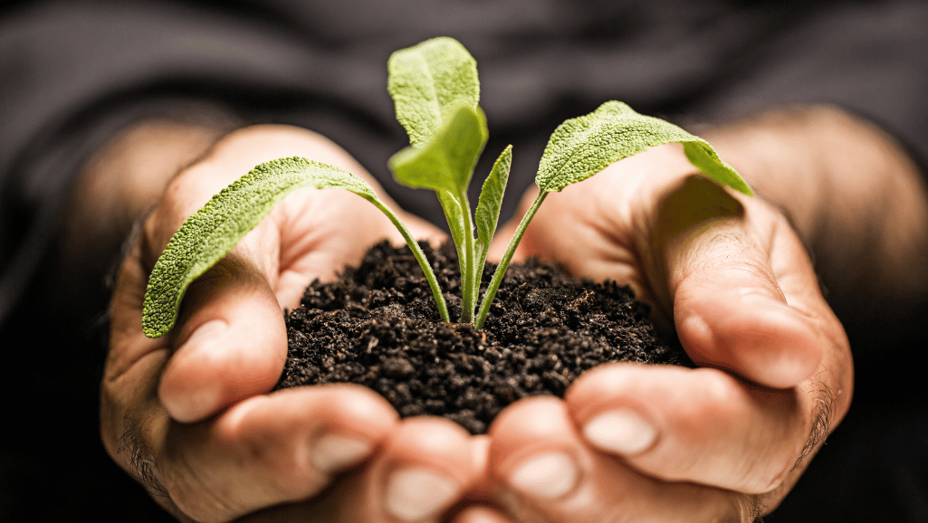 Jardinage écologique